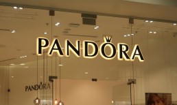 Pandora-artificial-intelligence-chatbots-retail