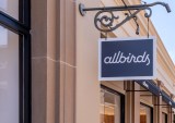 Allbirds and the Reality Check Facing Direct-to-Consumer Brands