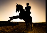 The 3 Horsemen of B2B Progress: APIs, Data and AI