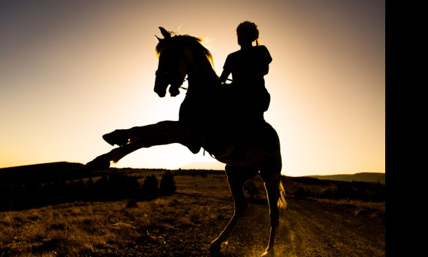 The 3 Horsemen of B2B Progress: APIs, Data and AI