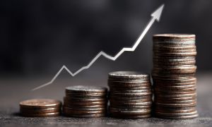 fraud increase
