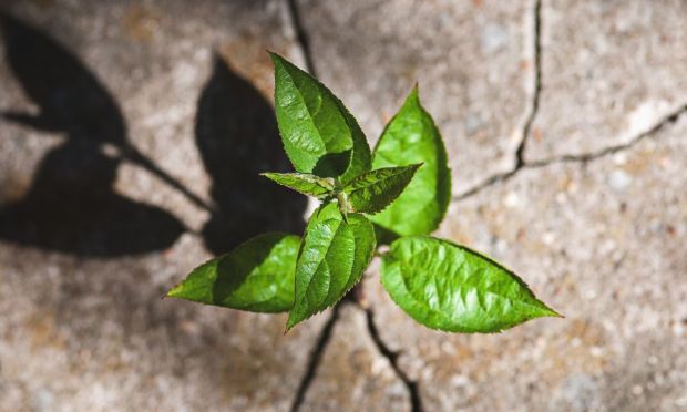 Fed Beige Book Shows Consumers Resilient Despite Uncertainty