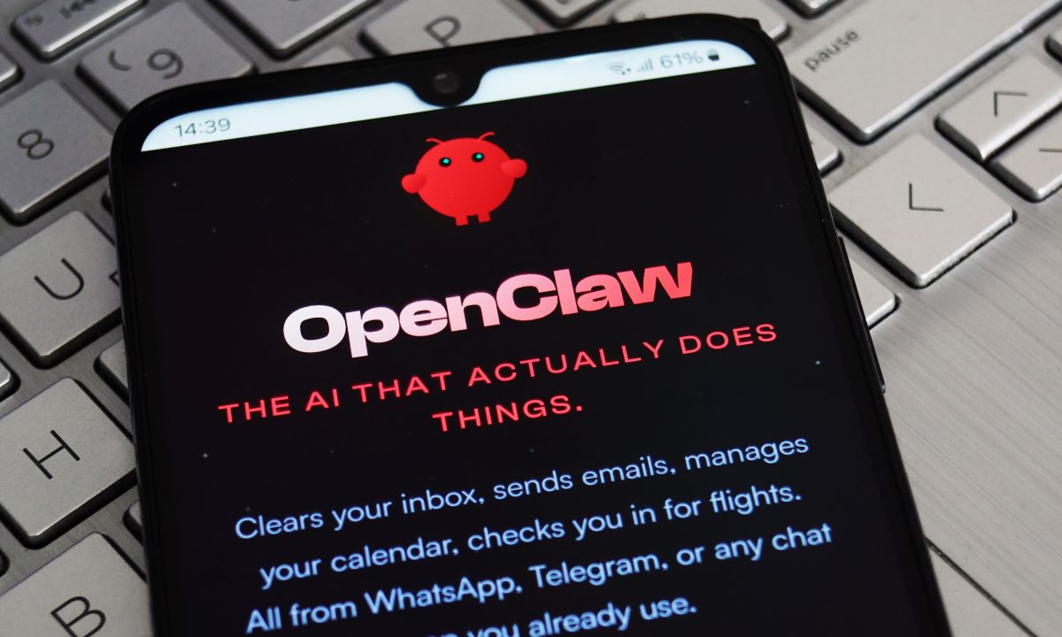 What Businesses Can Learn From the OpenClaw Story