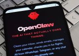 What Businesses Can Learn From the OpenClaw Story