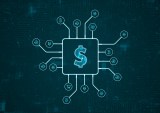 Stripe, PayPal, digital payments