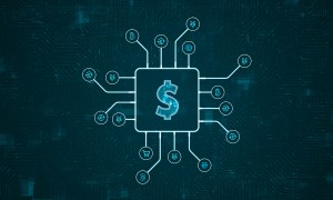 Stripe, PayPal, digital payments