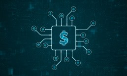 Stripe, PayPal, digital payments
