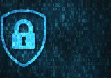 cybersecurity Vega