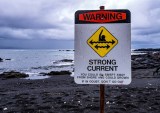 Discover Network Shows How Sharing Data Can Turn the Tide on Fraud