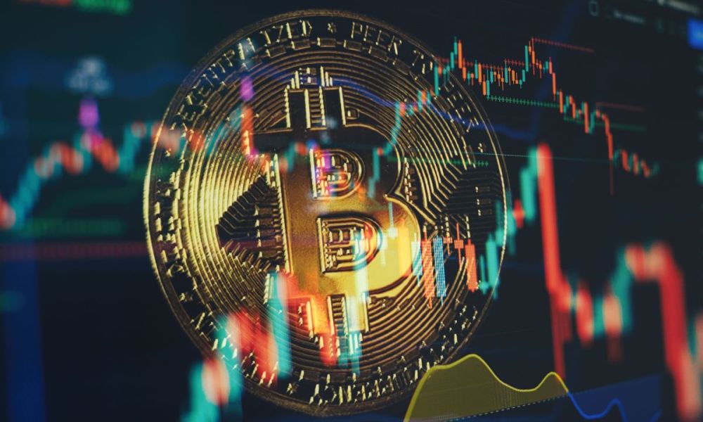 Crypto investors