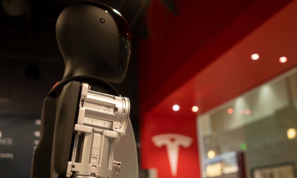 Optimus Tesla physical AI
