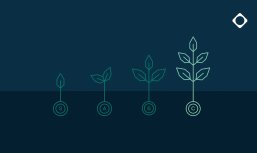 investment concept