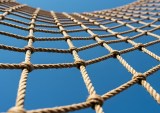OpenAI, safety net, taxes