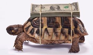 Slow Money
