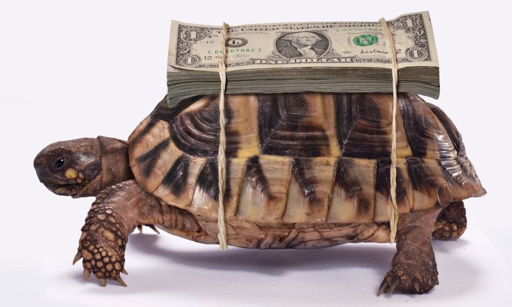 Slow Money