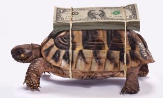 For Small Businesses, Slow Money Is Expensive Money