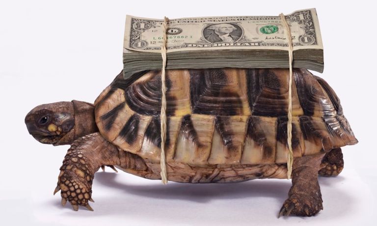 Slow Money