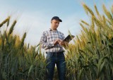 farmers, working capital, loans, collateral