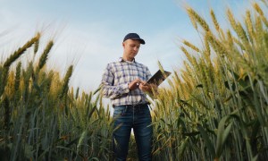 farmers, working capital, loans, collateral