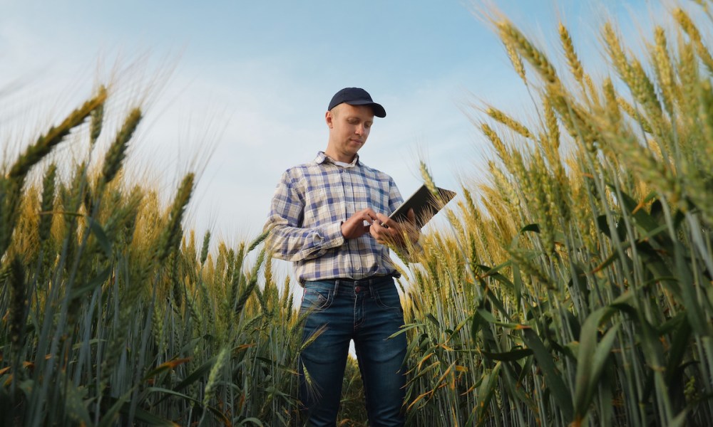 farmers, working capital, loans, collateral