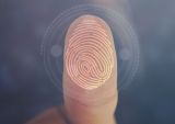 identity