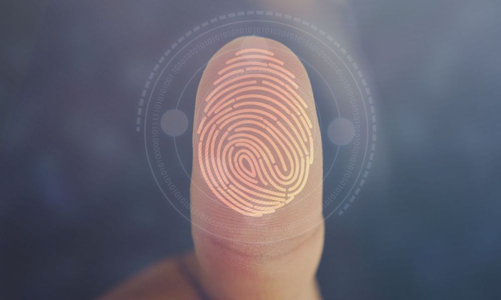 identity