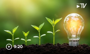 scaling up