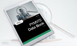 Scaling Identity Verification: How Growth Raises Fraud and Friction Risks