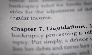 printed page on Capter 7 bankruptcy