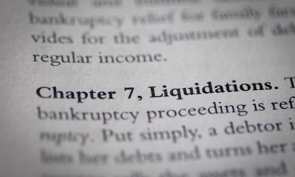 printed page on Capter 7 bankruptcy
