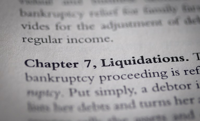 printed page on Capter 7 bankruptcy