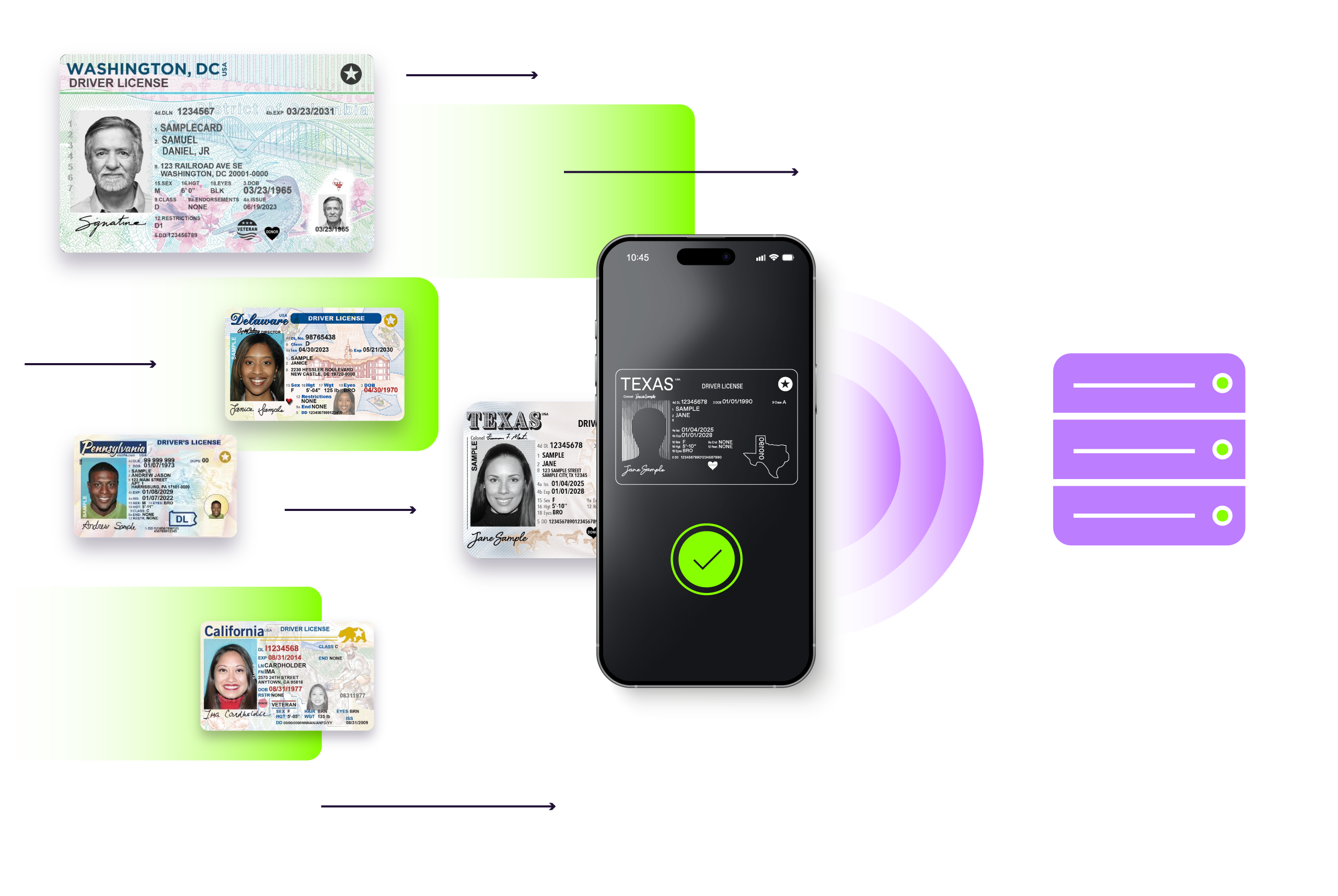 Regula Targets Digital ID Fraud With Server-Side Verification for Mobile Driver’s Licenses