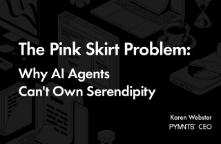 The Pink Skirt Problem: Why AI Agents Can’t Own Serendipity