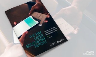 61% of Consumers Would Let AI Pick Pay Later Options