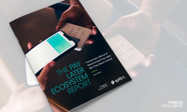61% of Consumers Would Let AI Pick Pay Later Options