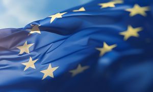 EU Procurement