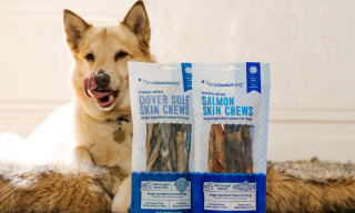 Smallbatch Pets Finds a Prime Day Edge in AI