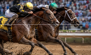 Open USD Just Turned the Stablecoin Race Into an Ecosystem Contest