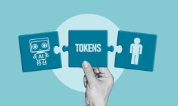 agentic commerce, tokenization