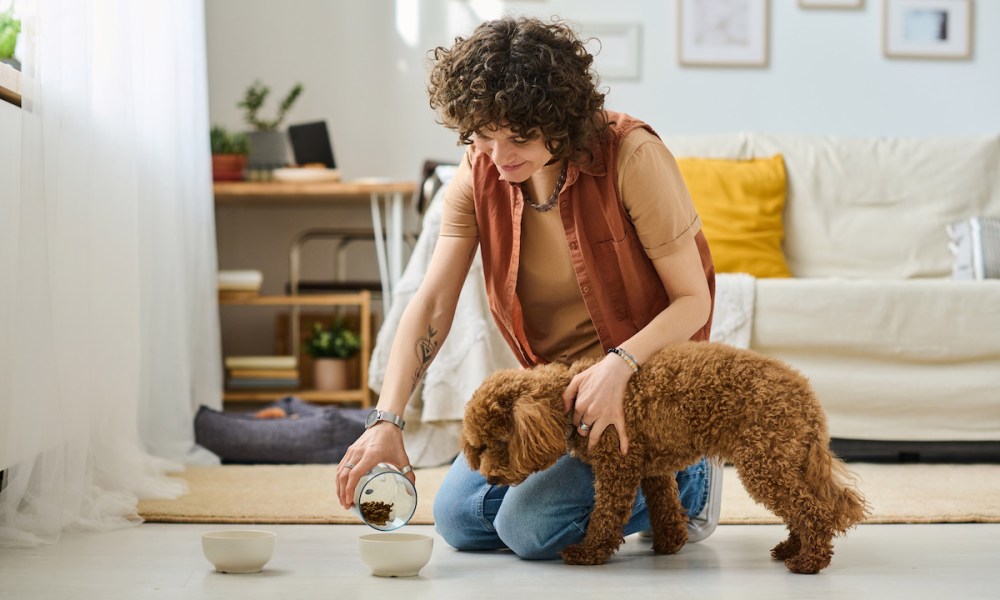 cutback-economy-pet-care