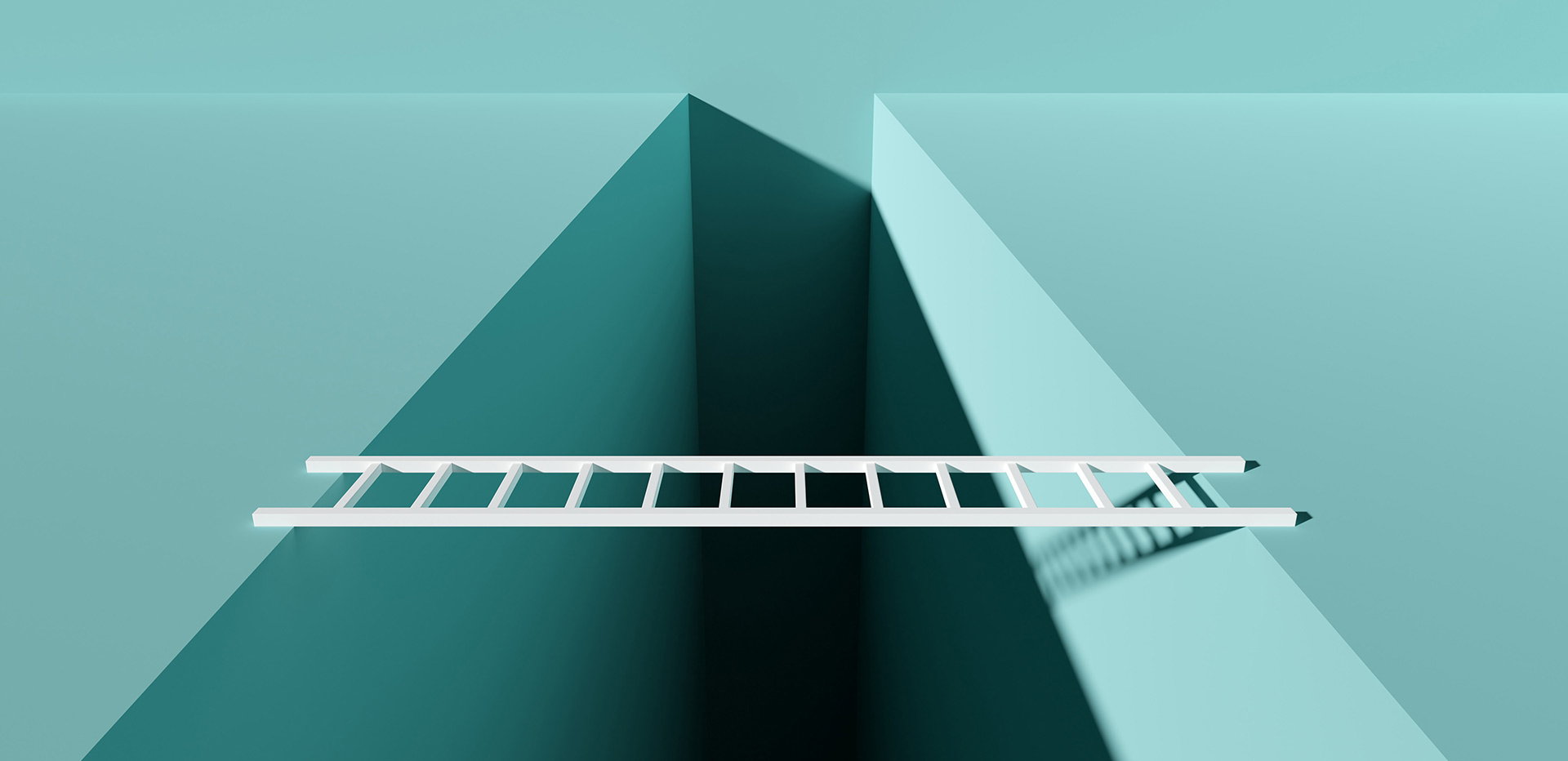 CPI | Due Process in Competition Cases: Bridging the Gap