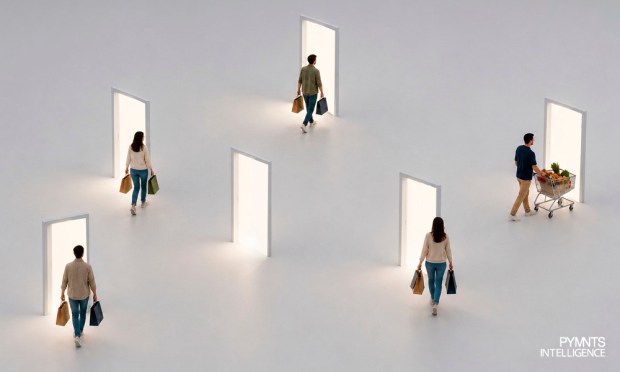 74% of BNPL Users Choose More Than One Provider