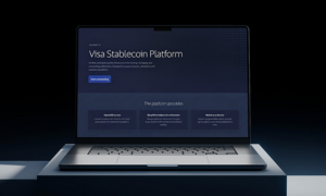 Visa Stablecoin Platform on laptop