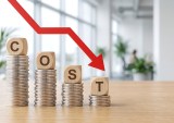 AI costs