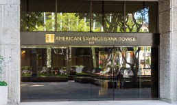 American Savings Bank, IPO