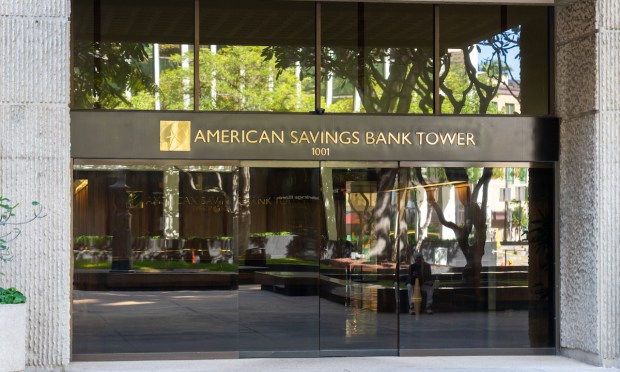 American Savings Bank, IPO