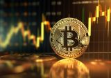 Dormant Crypto Wallets