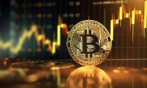 Dormant Crypto Wallets