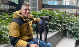 Gamgee, dogs, cancer vaccines, AI
