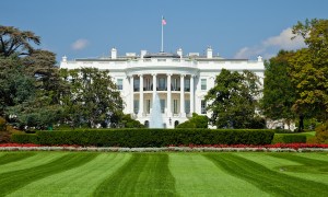 White-House
